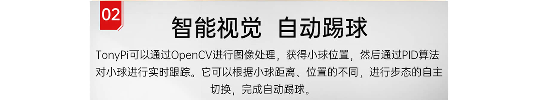 TonyPi 智能視覺人形機器人